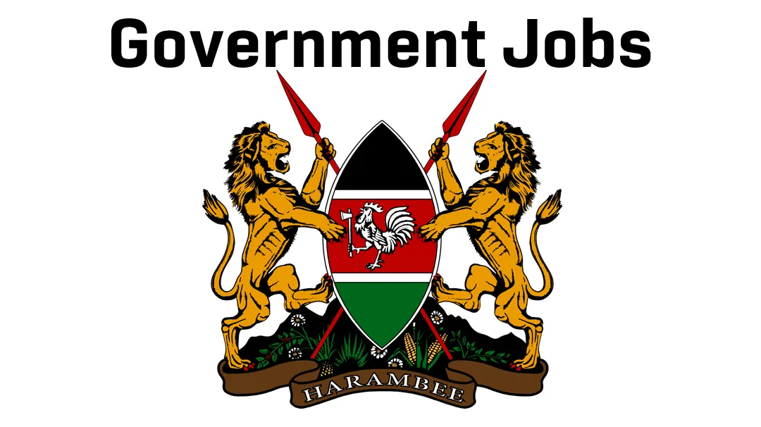 A Beginner's Guide to Government Jobs in Kenya (PSC, County & Parastatal)